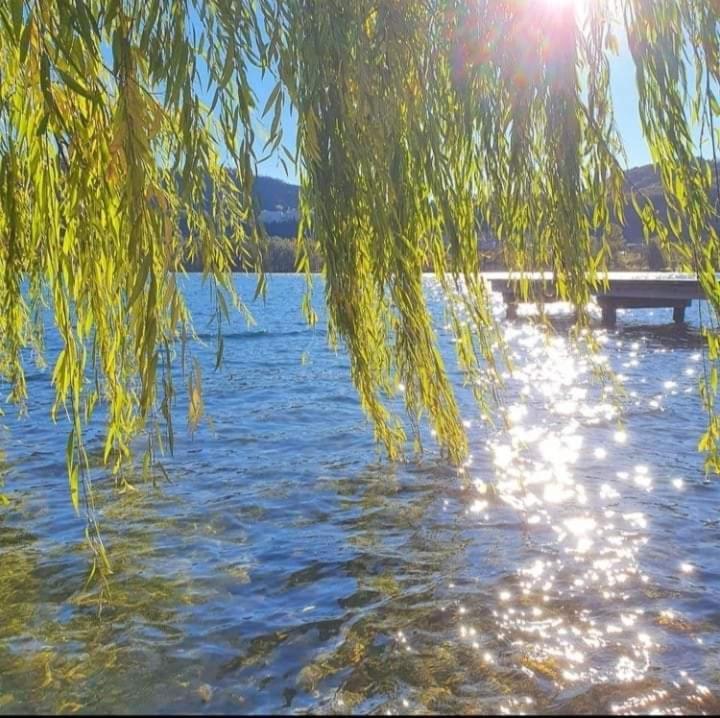 Al Lago Guest House Revine Lago Eksteriør billede